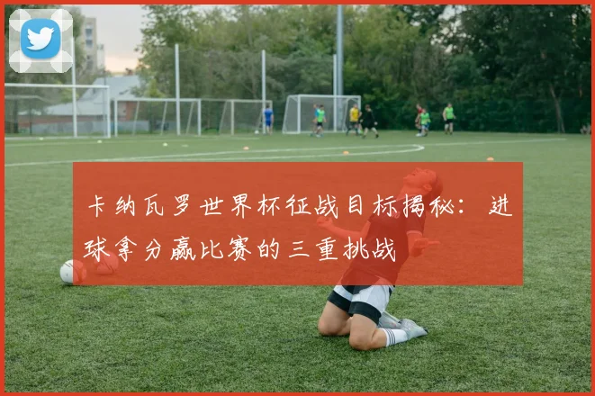 卡纳瓦罗世界杯征战目标揭秘：进球拿分赢比赛的三重挑战