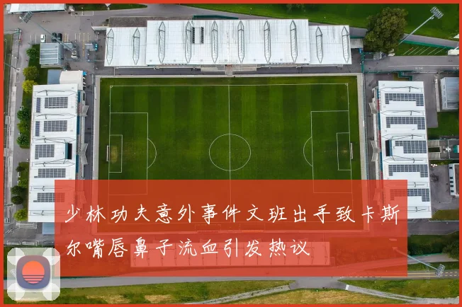 少林功夫意外事件文班出手致卡斯尔嘴唇鼻子流血引发热议